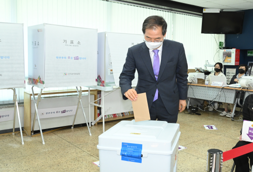 제8회 전국동시지방선거 사전투표