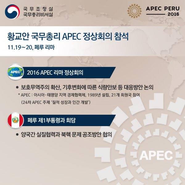 황교안 국무총리 APEC 정상회의 참석