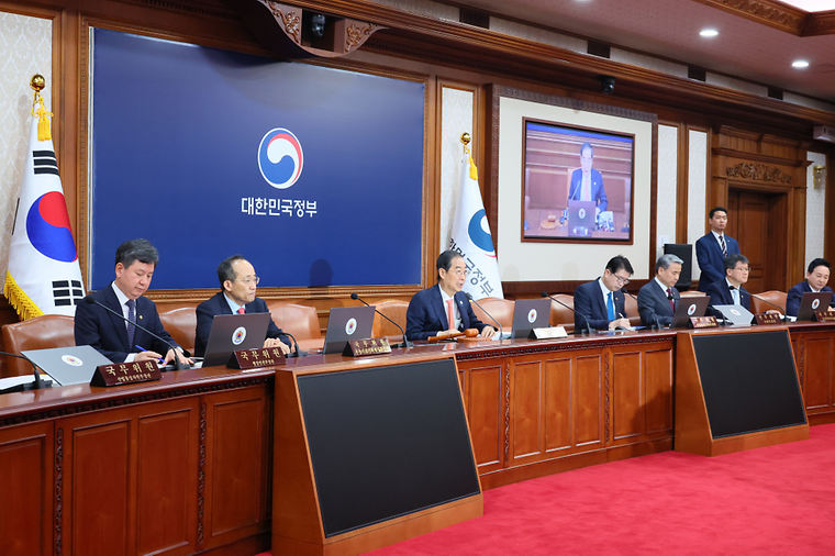 The 17th Cabinet meeting