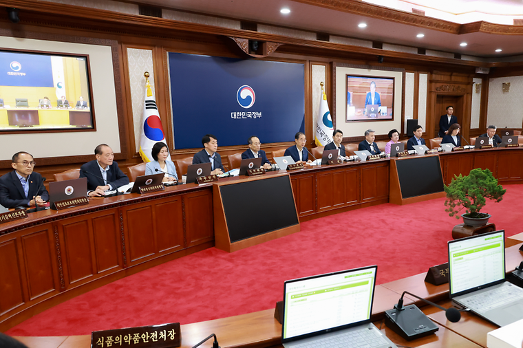 The 28th Cabinet meeting