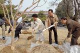 식목일 기념식수