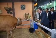A Farm Show 일자리 박람회