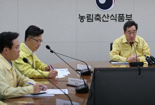 범정부 아프리카돼지열병 방역대책회의